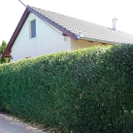 Pensjonat Kinga House 4*