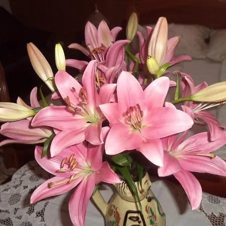 Pensjonat Kinga House