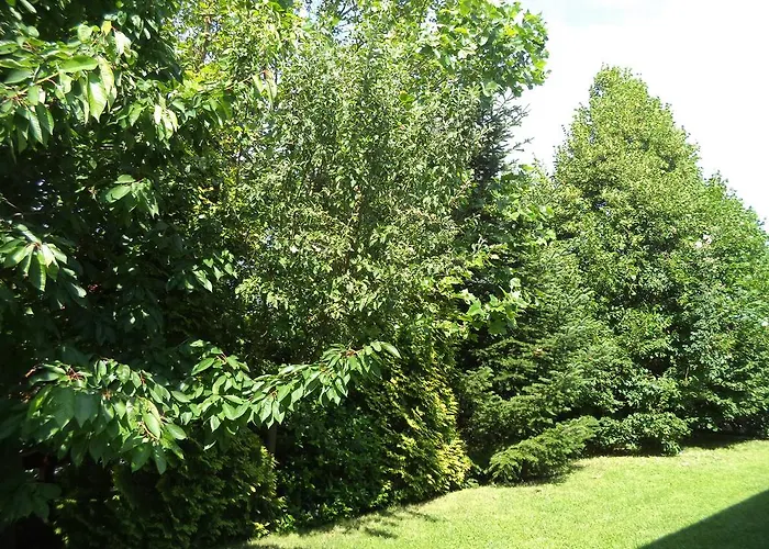 Kinga House